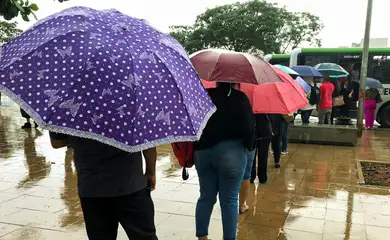 Brasília (DF) 18/11/2024 – Pessoas são vistas com seus guarda chuvas durante chuva na Esplanada dos Ministérios.
Foto: Jose Cruz/Agência Brasil