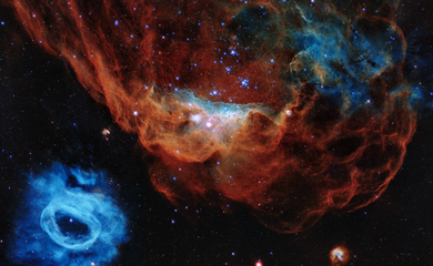 A nebulosa NGC 2014, à direita, junto de sua vizinha NGC 2020, à esquerda. A mancha vermelha é formada por gás hidrogênio, enquanto o azul é gás oxigênio aquecido a mais de 10 mil ºC.