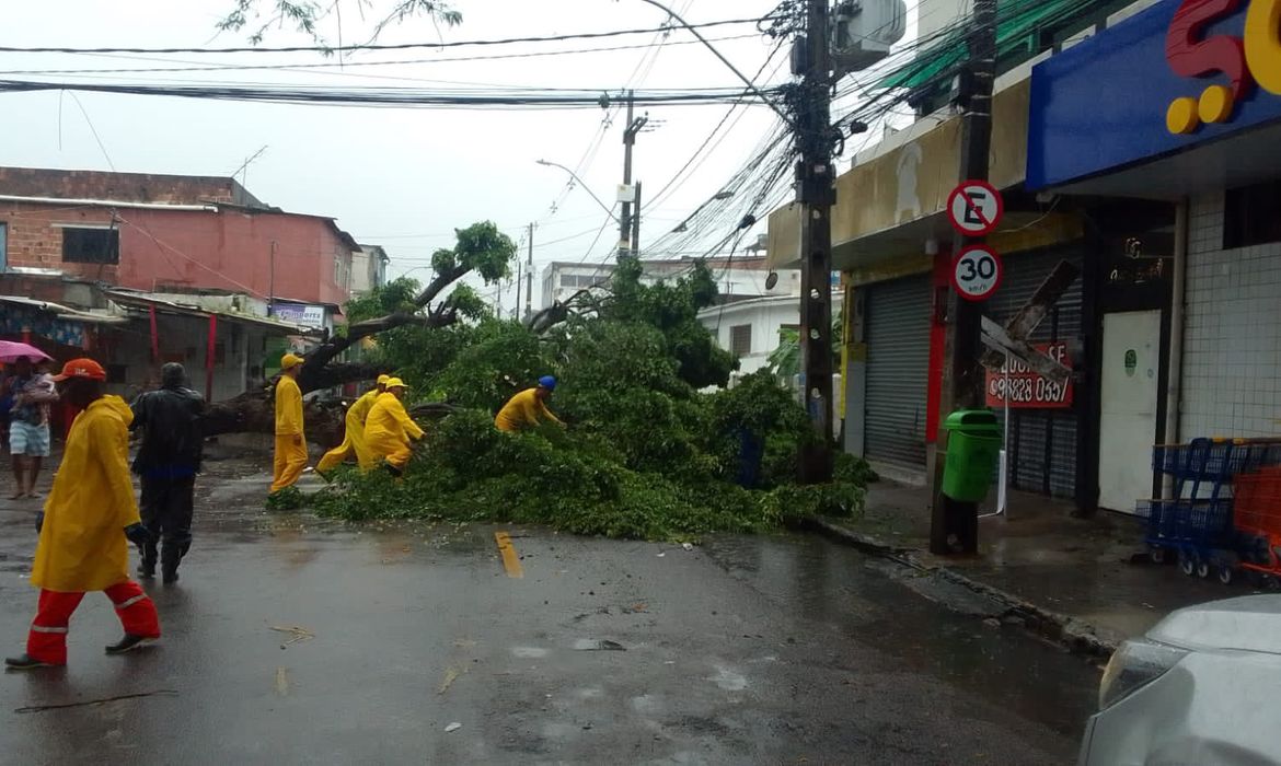 Recife (PE) - Equipes da prefeitura estão trabalhando para amenizar os impactos causados pelas chuvas. Foto: Prefeitura do Recife/Twitter