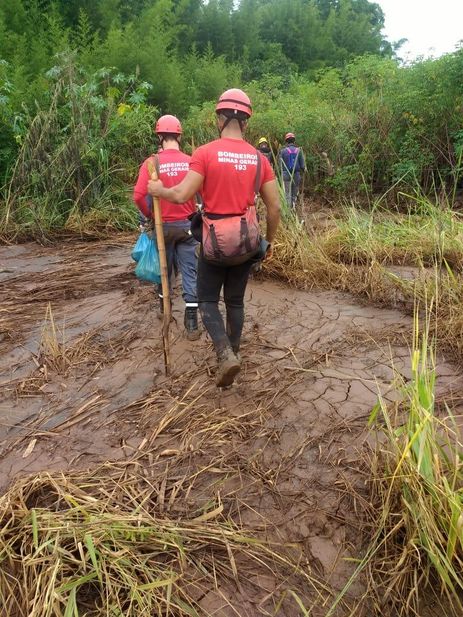 A tragédia causada pelo rompimento da barragem da Mina Córrego do Feijão, em Brumadinho, a 57 quilômetros de Belo Horizonte, completa hoje (4) 11 dias de buscas. 