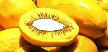 Pequi, fruta típica do cerrado