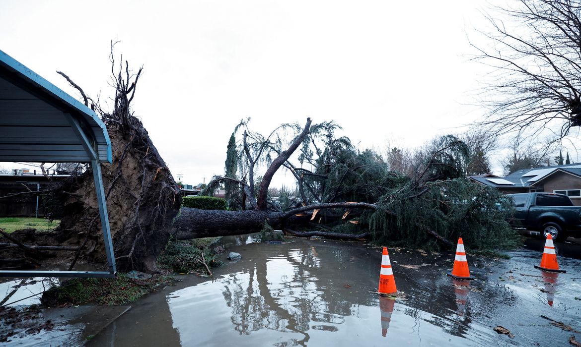 FILE PHOTO: A tree blocks a roadway after it fell in high winds during a winter storm in West Sacramento