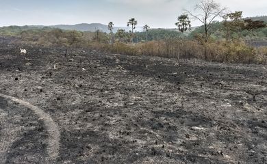 São Jorge (GO) - Incêndios que destroem o Parque Nacional da Chapada dos Veadeiros (Valter Campanato/Agência Brasil)