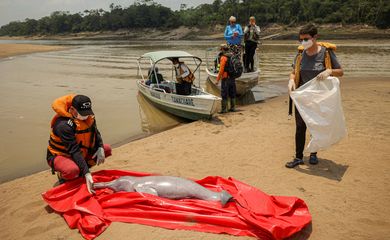 Pesquisadores do Instituto de Desenvolvimento Sustentável Mamirauá retiram boto morto do Lago Tefé, no Amazonas

REUTERS/Bruno Kelly