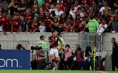 flamengo, ldu, libertadores