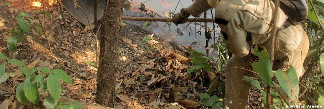 Incêndio atinge parque ecológico no Mato Grosso