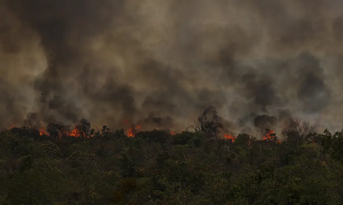 Brasília (DF), 16/09/2024 - Grandes focos de incêndio atingem áreas do Parque Nacional de Brasília. Foto: Marcelo Camargo/Agência Brasil