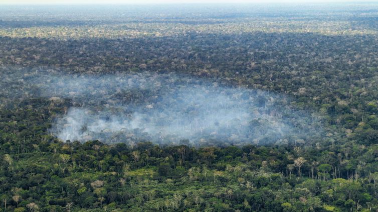 Estudo aponta atividade humana nas emissões de carbono na Amazônia