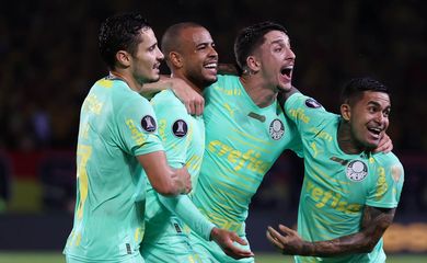 palmeiras, deportivo pereira, libertadores
