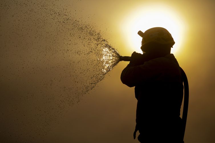 Porto Jofre (MT) 17/11/2023 – Brigadista do ICMBIO fazendo resfriamento do fogo, durante incêndio florestal que atige o Pantanal.  Foto: Joédson Alves/Agência Brasil
