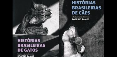 Livros Rogério Ramos 