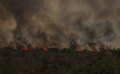 Brasília (DF), 16/09/2024 - Grandes focos de incêndio atingem áreas do Parque Nacional de Brasília. Foto: Marcelo Camargo/Agência Brasil