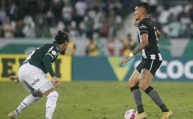 palmeiras, botafogo, campeonato brasileiro