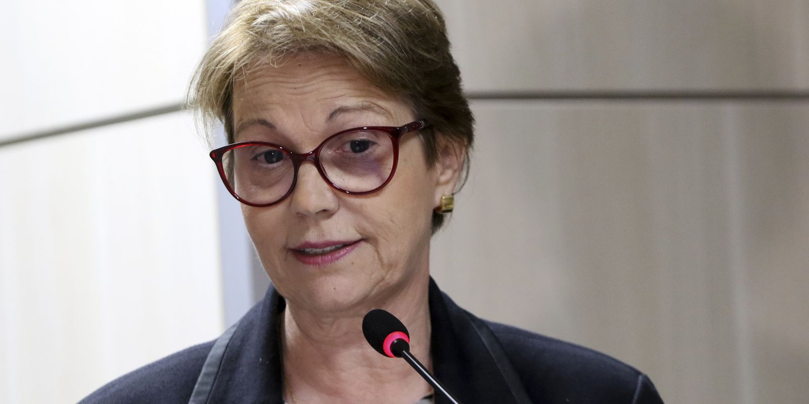 Brasil tem fertilizantes até outubro, garante ministra da Agricultura