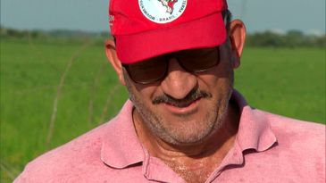 Caminhos da Reportagem - O agricultor Tubiano Molinari lamenta as perdas, mas tem fé na reconstrução