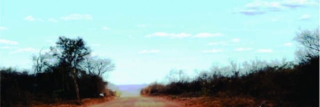 Trecho da BR-404, na divisa entre Piauí e Ceará, onde se inicia um longo caminho de estrada de terra até o município isolado