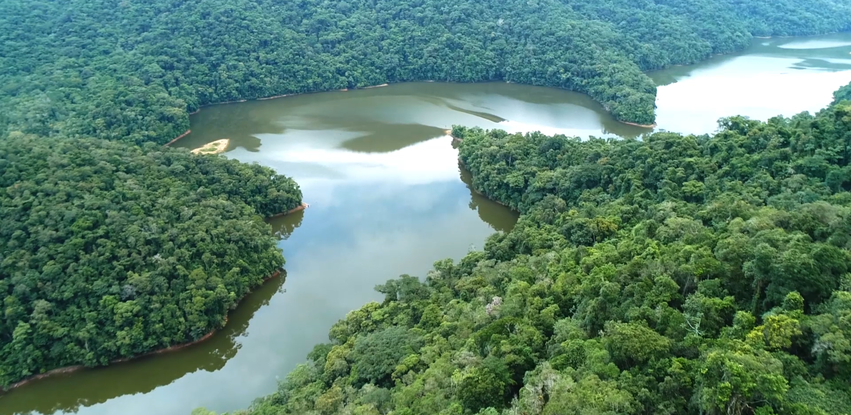 Série documental "Mata Viva – Ciência e Aventura na Mata Atlântica"