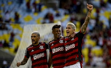 Flamengo, Goias, Brasileiro