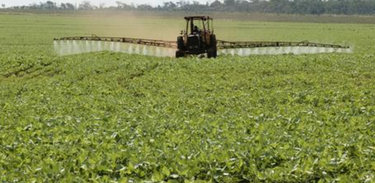 Futurando mostra tecnologia que dispensa o uso de pesticidas nas lavouras.