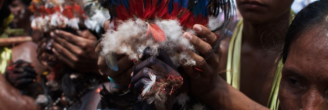 Índios fazem dança da Moça Nova ao recepcionar o Ministro da Saúde, Alexandre Padilha, no Alto Solimões (AM). A campanha de vacinação, que vai até dia 19 de maio, deve imunizar contra a gripe um terço das comunidades indígenas isoladas na região amazônica