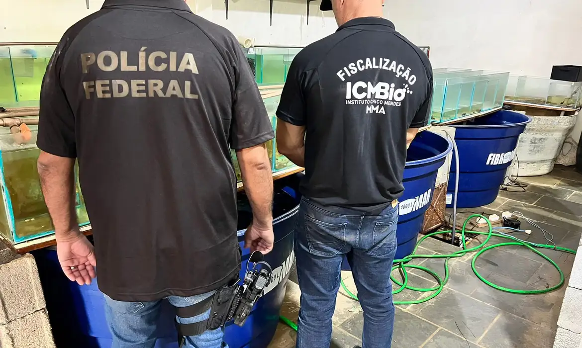 Operação da Polícia Federal contra venda ilegal de animais marinhos. Foto: Polícia Federal-RJ