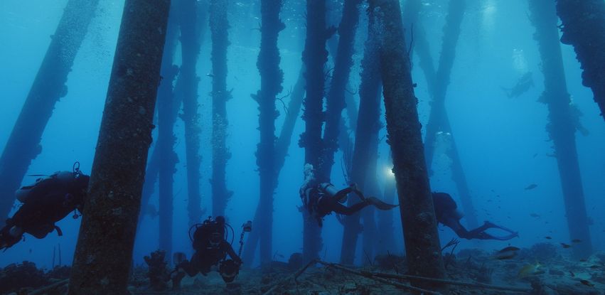 Recifes de Naufrágios investiga tesouros do mundo subaquático