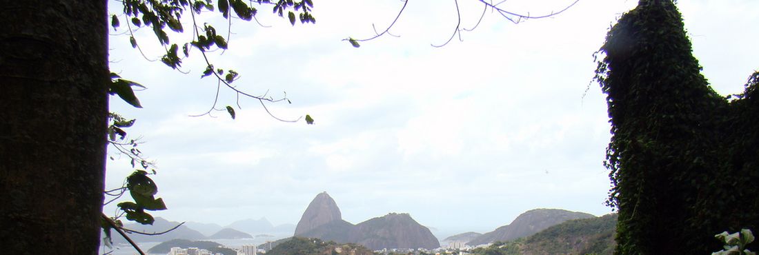 Mais de 30 milhões mudas serão plantadas no Rio de Janeiro para recompensar emissão de gases do efeito estufa durante Olimpíadas de 2016