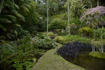 Tomaz Silva/Agência Brasil Sítio do Burle Marx, candidato ao título de Patrimônio Mundial da Unesco.