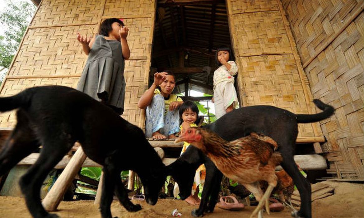 A raiva em seres humanos é uma doença transmitida, na maioria, por cães