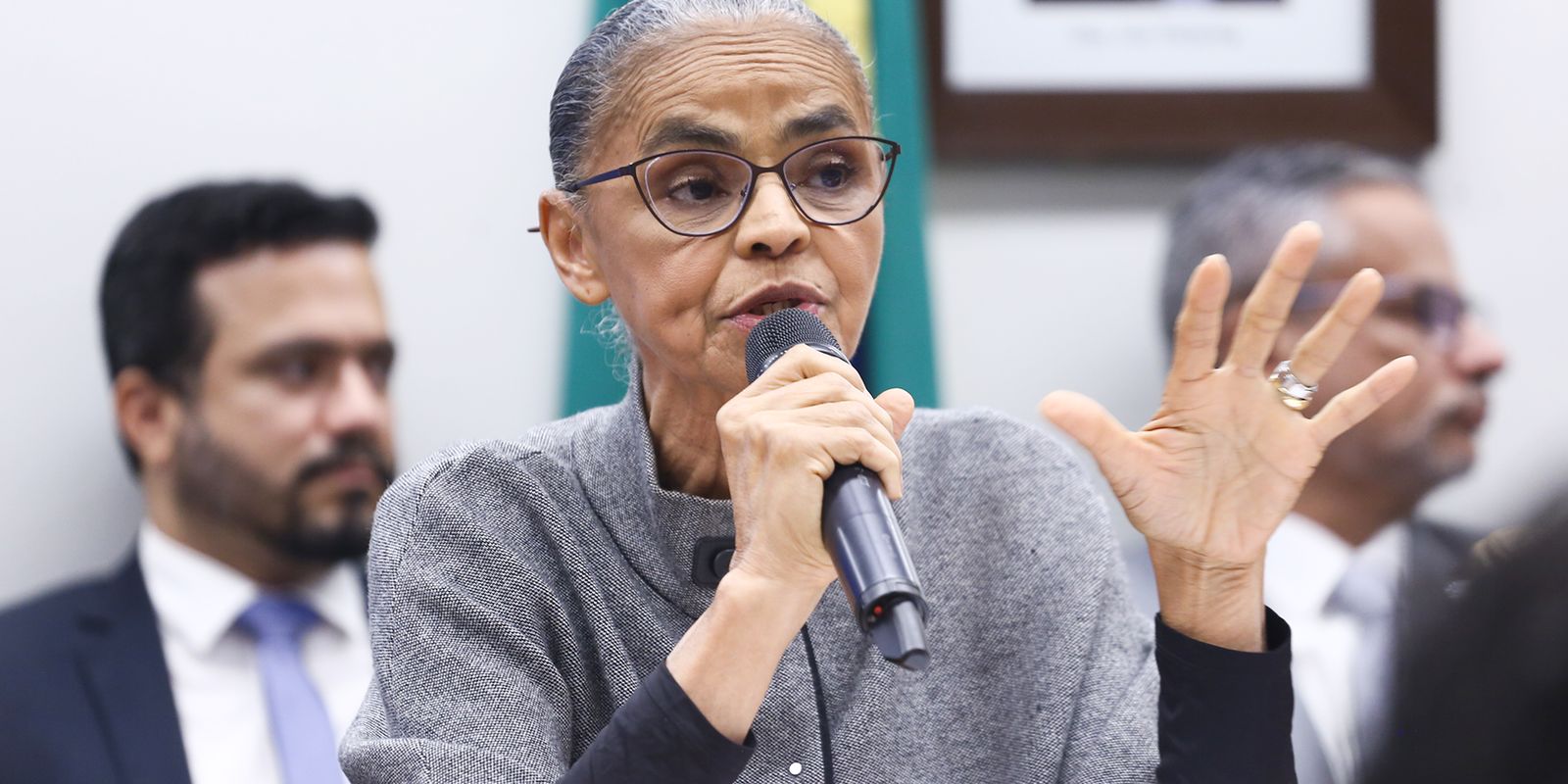 Marina critica pedidos de liberação de agrotóxicos já em desuso