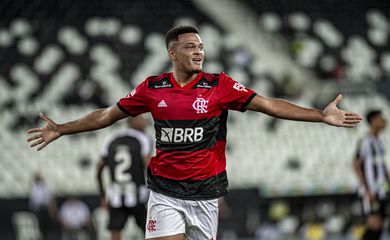 Flamengo, Botafogo, Campeonato Carioca