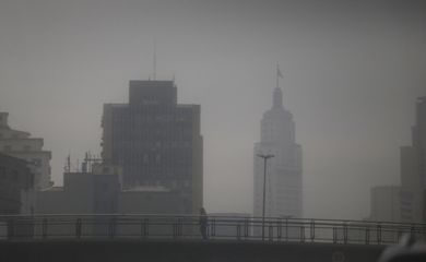 São Paulo (SP), 16/01/2025 -  Forte chuva no centro de São Paulo no final da tarde. Foto: Paulo Pinto/Agência Brasil