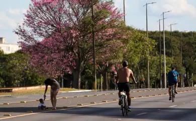 Dois terços dos brasileiros moram em ruas arborizadas