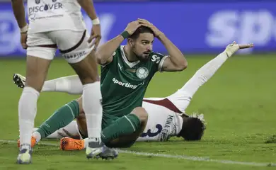 palmeiras, libertadores, ldu