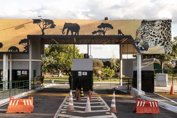 Joédson Alves/Agência Brasil Brasília (DF), 28/05/2025 - O Zoológico de Brasília precisou fechar as portas por suspeitas de casos de gripe aviária. Segundo informações preliminares, um pombo e um pato foram encontrados mortos e levantaram suspeitas sobre a infecção.
Foto: Joédson Alves/Agência Brasil