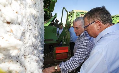 Sinop/MT - Presidente Michel Temer e o ministro da Agricultura, Blairo Maggi, abrem oficialmente a colheita estadual de algodão em Mato Grosso (Alan Santos /PR)