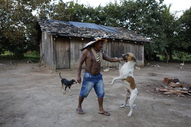 Brasnorte (MT), 09/04/2025 – O cacique Ademir Rikbaktsa, liderança da aldeia Beira Rio, brinca com cachorros na Terra Indígena Erikpatsa, do Povo Rikbaktsa. Foto: Fernando Frazão/Agência Brasil