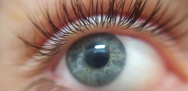 olhos e iridologia