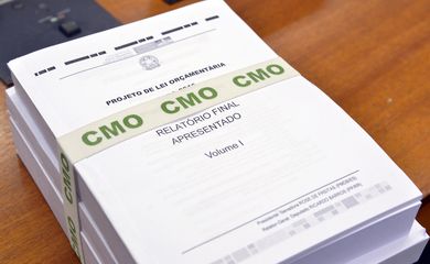 Brasília - Relatório apresentado na Comissão Mista de Orçamento (Valter Campanato/Agência Brasil)