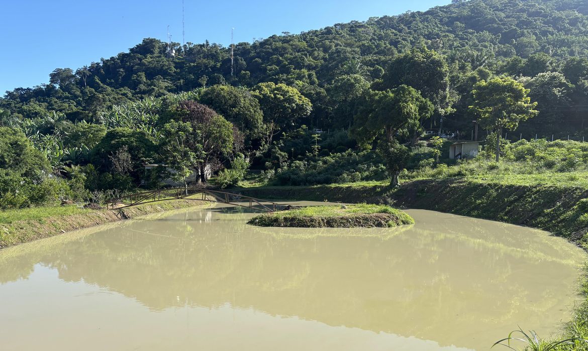Brasília (DF), 06/05/2025 - Construção irregular é embargada em área de proteção ambiental no Rio
Suspeita é que área seria usada para construção de um resort.
Foto: SEAS/Divulgação