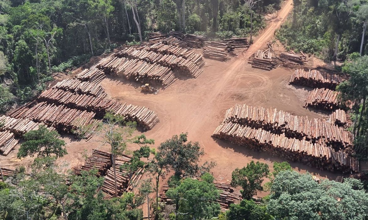 Polícia Federal na divisa do Pará com o Amazonas