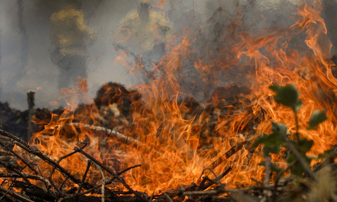 Poconé (MT) 17/11/2023 – Brigadistas do ICMBIO durante combate ao incêndio florestal que atinge o Parque Nacional do Pantanal Mato-Grossense 
Foto: Joédson Alves/Agência Brasil