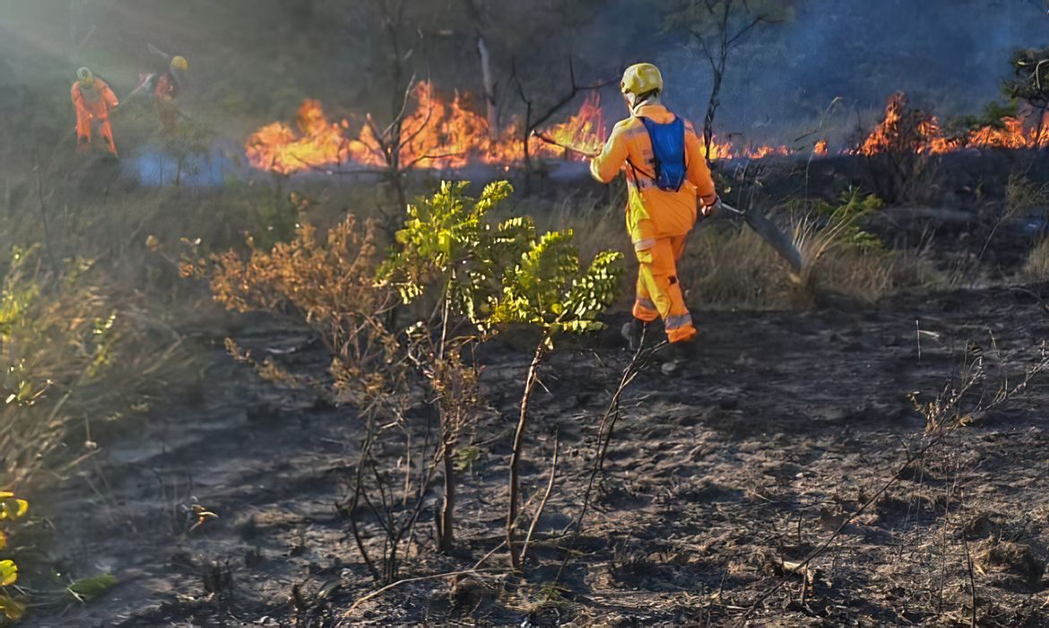 Brasília (DF) 21/08/2024 - Incêndios atingem milhares de hectares em parques de Minas GeraisBrigadistas apoiados por aviões combatem as chamas.Foto: CBM/MG