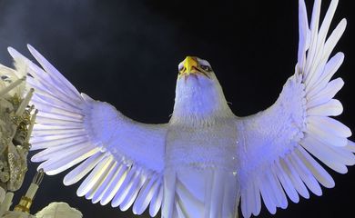 Rio de Janeiro - A Águia Redentora, alegoria da Portela, animou o público durante o desfile  de 2015 e era aplaudida quando abria as asas e ficava com até 18 metros de altura (Cristina Indio do Brasil/Agência Brasil)