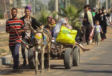 Palestinian civilians ride a donkey-drawn cart as they evacuate from the north of the Gaza Strip towards south, amid the ongoing conflict between Israel and Palestinian Islamist group Hamas, in the central Gaza Strip November 7, 2023. REUTERS/Ahmed Zakot