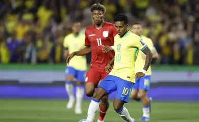 brasil, equador, eliminatórias