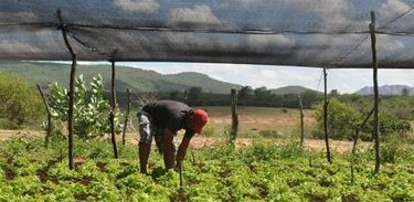 Projeto do Banco Mundial impulsionará a agricultura  sustentável