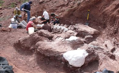 Argentina: Remains of a dinosaur that would be the largest in history was found