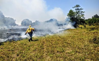 Incêndios florestais nas Unidades de Conservação caem pela metade