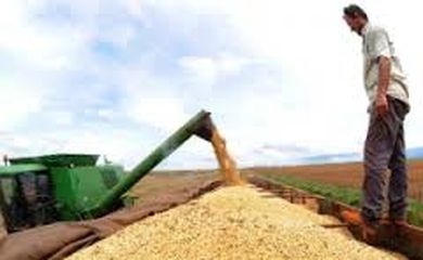 agricultura_campo.jpeg